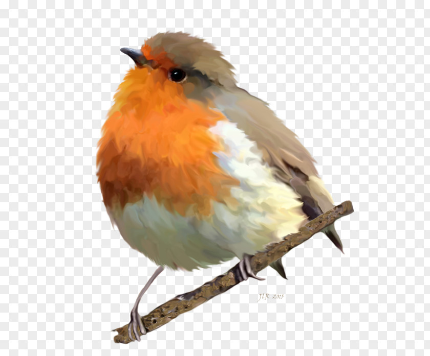 Fine Brush Flower-and-bird Painting European Robin Bird American Throw Pillows PNG