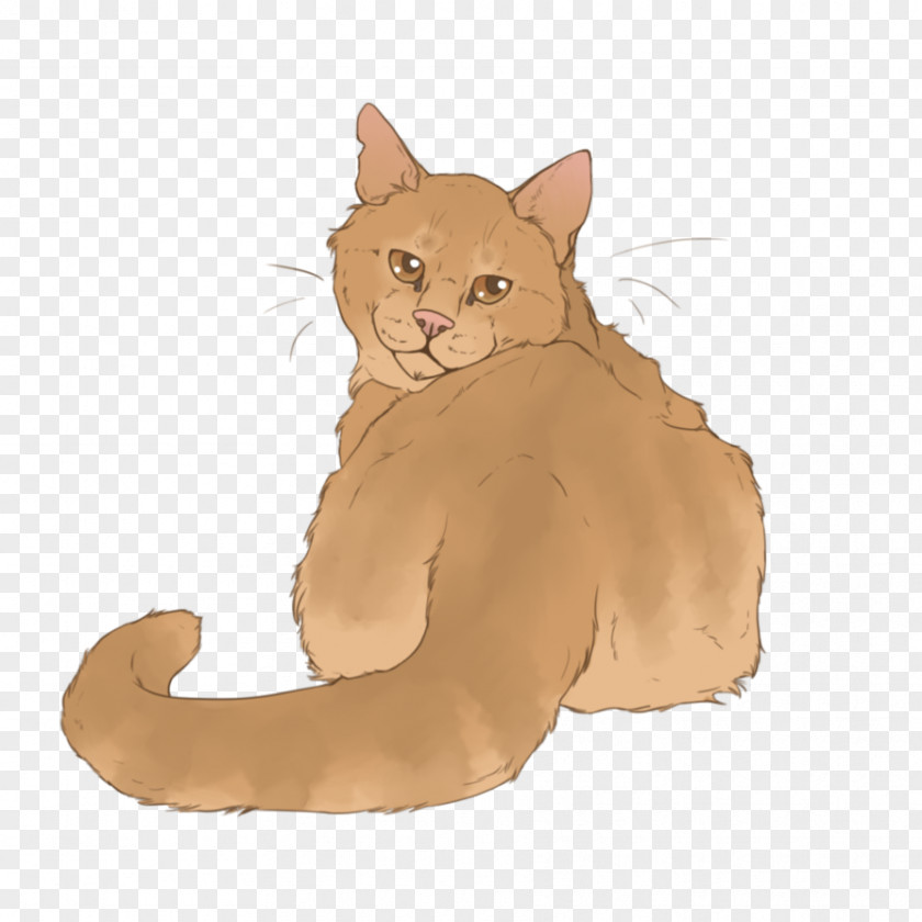 Kitten Whiskers Cat Warriors Thistleclaw PNG