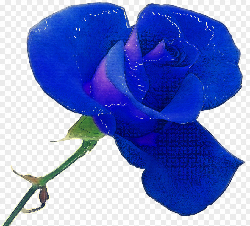 Purple Plant Blue Rose PNG
