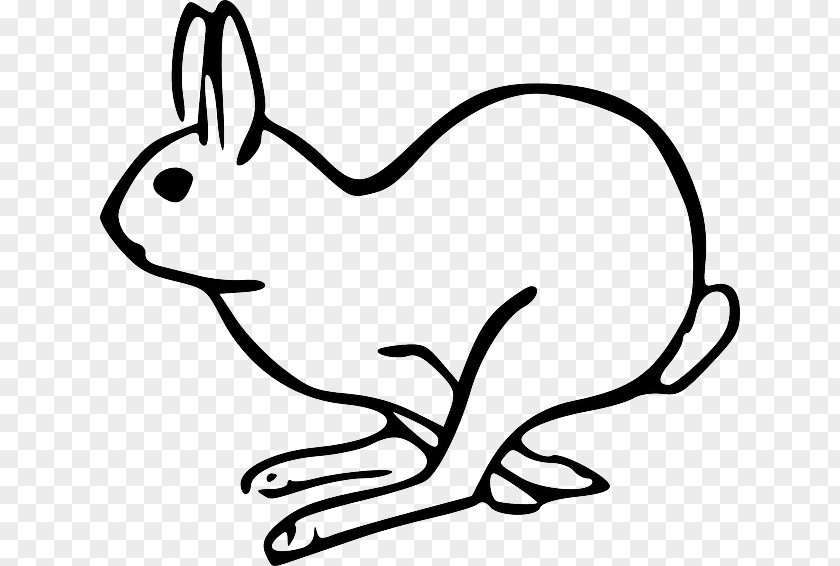 Rabbit Clip Art Openclipart Hare Holland Lop PNG