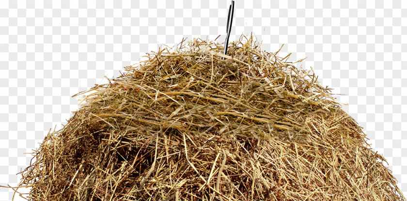 Straw Haystack Stock Photography Clip Art PNG