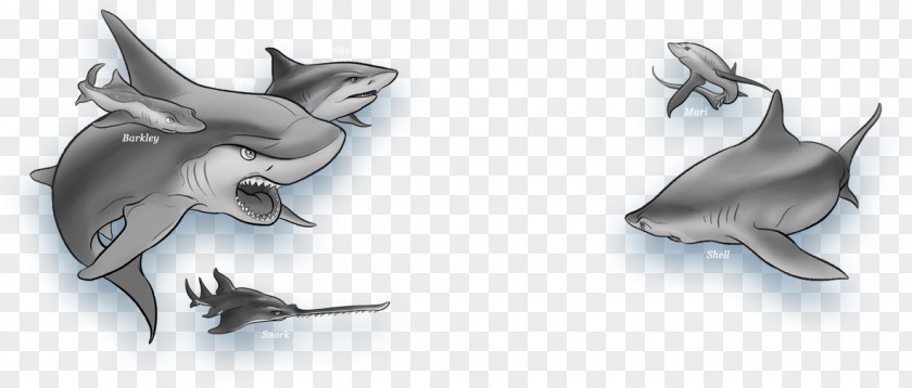 Sunken Ship Shark Wars Image Drawing PNG