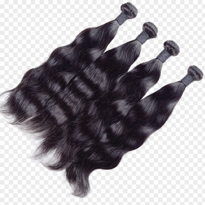 India Hair Wig Homo Sapiens Color PNG