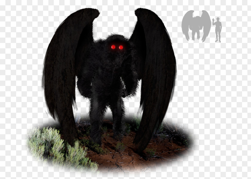 Mothman's Curse The Mothman Prophecies Point Pleasant Bigfoot Flatwoods Monster PNG