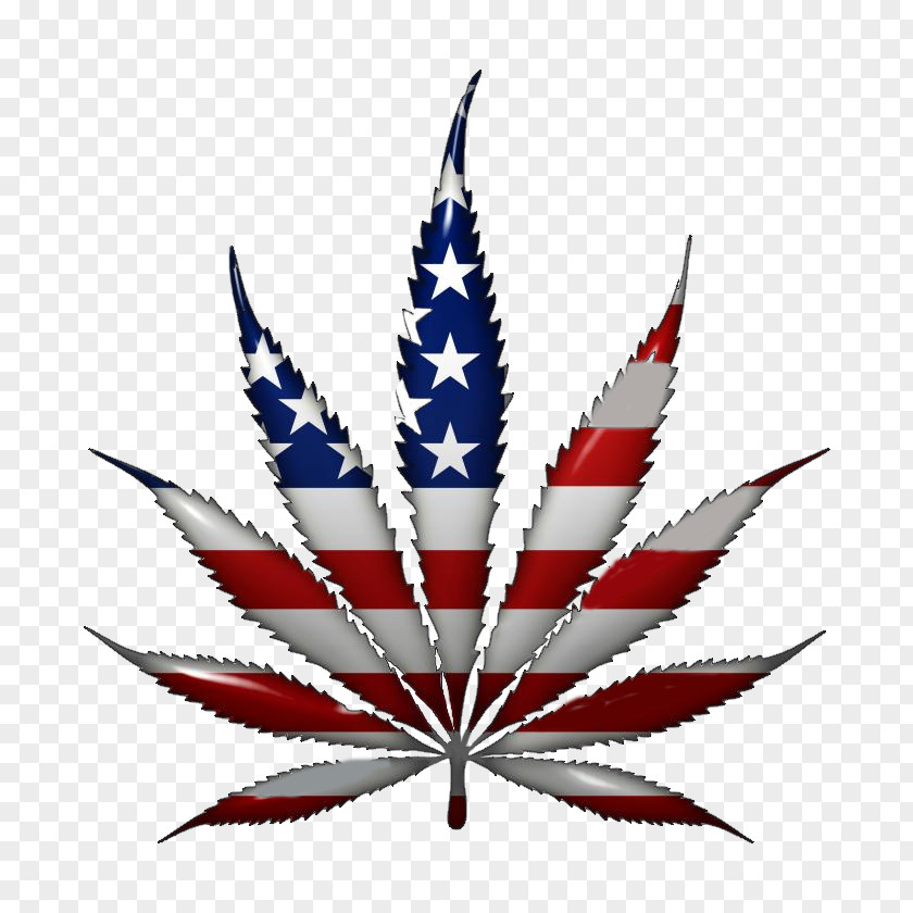United States Medical Cannabis Legality Of Smoking PNG