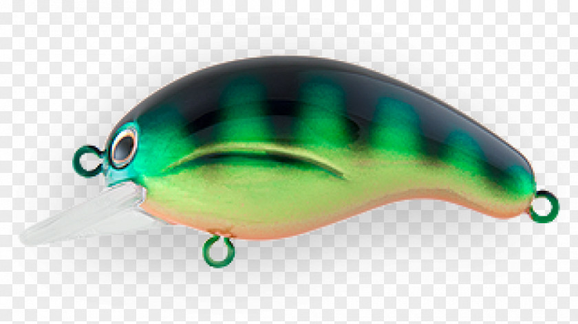 Design Spoon Lure Fish PNG