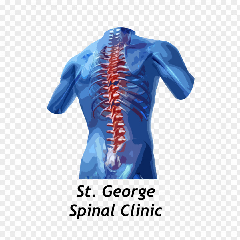 Low Back Pain Vertebral Column Human Therapy Middle PNG