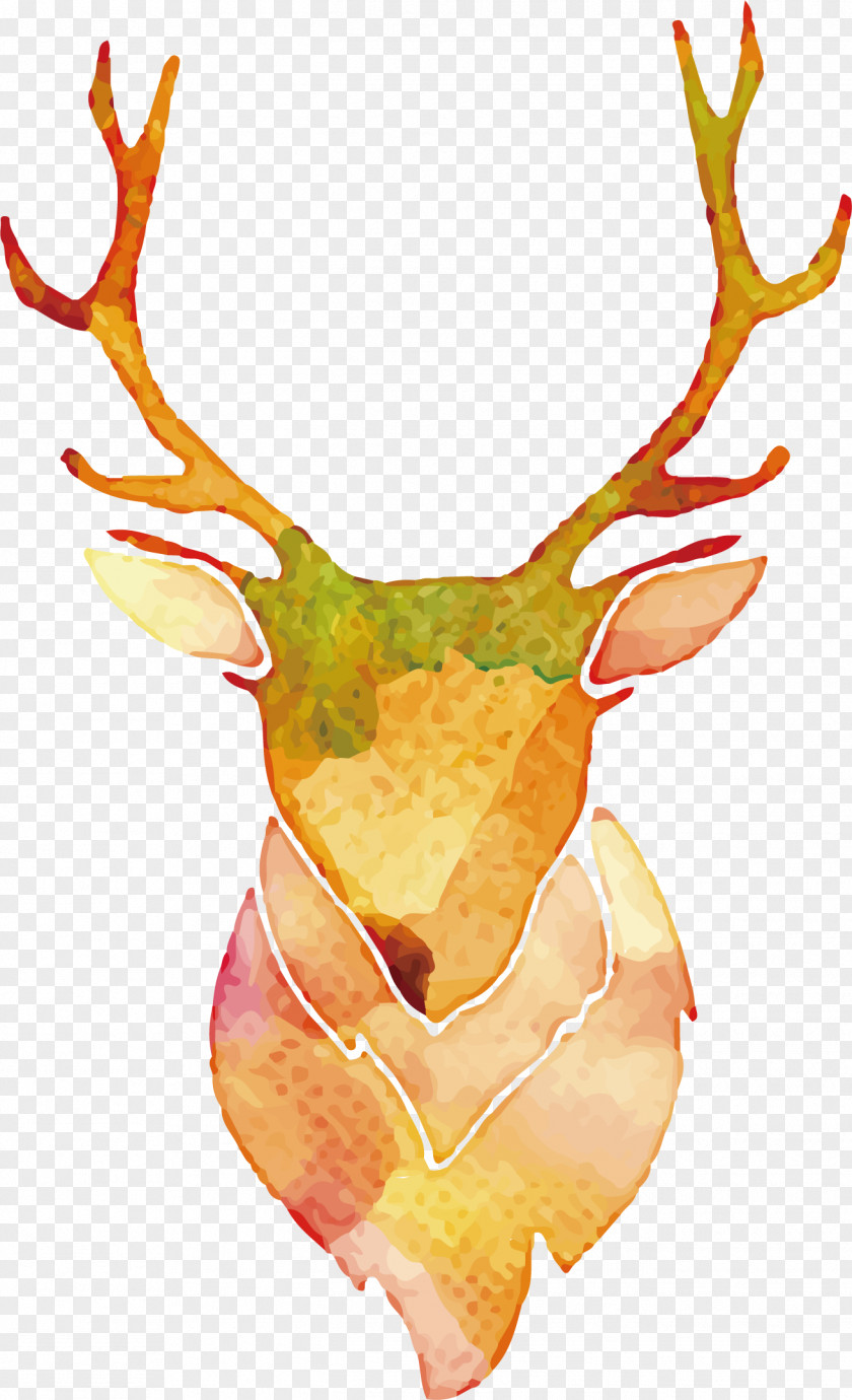 Watercolor Deer Vector Antler PNG