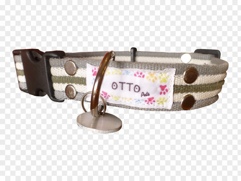 Dog Leash Collar PNG