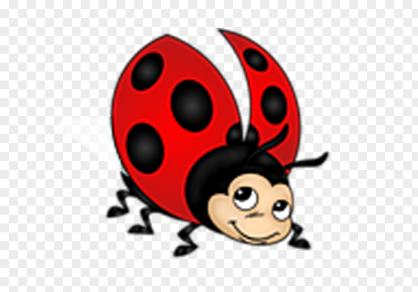 Ladybird Beetle Insect Clip Art PNG