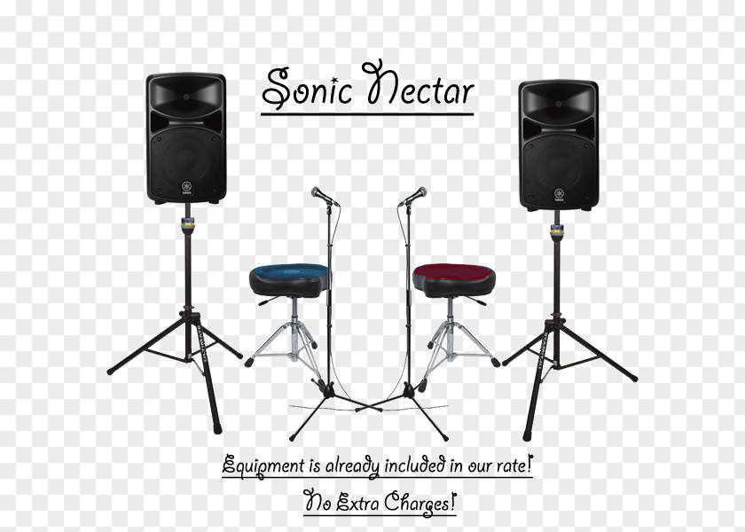 Microphone Public Address Systems Loudspeaker Sound Subwoofer PNG