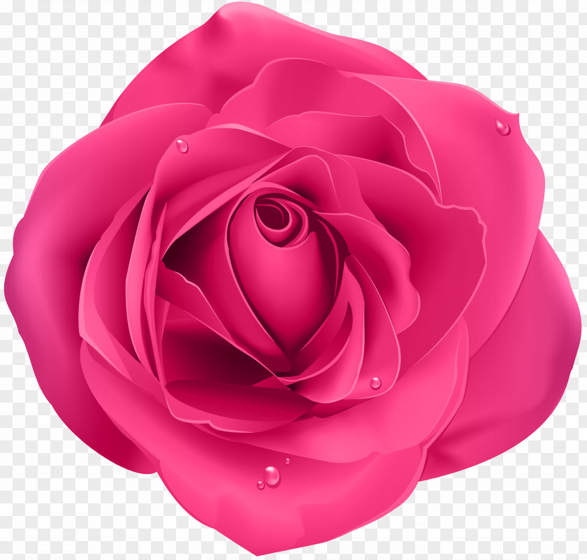 Rose Pink Transparent Clip Art PNG