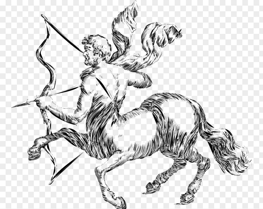 Sagittarius Centaur Astrological Sign Zodiac Clip Art PNG