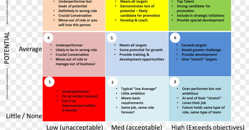 Skillful Talent Management Competence Job Performance Leadership Organization PNG