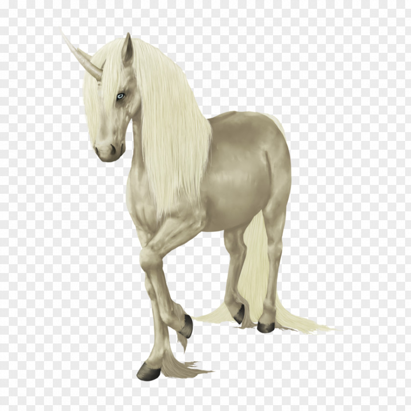 Unicorn Background Mustang Colt Foal Stallion Mare PNG