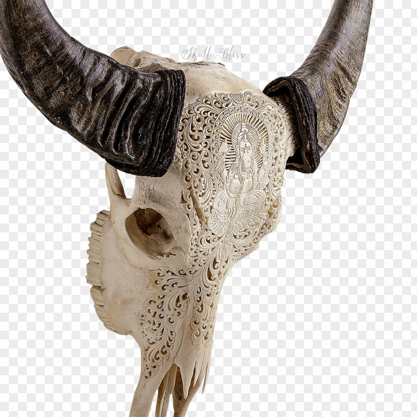 Buffalo Skull Ganesha Horn Deity Cattle PNG