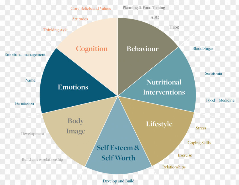 Eating Disorder Diagram Anorexia Nervosa Bulimia PNG