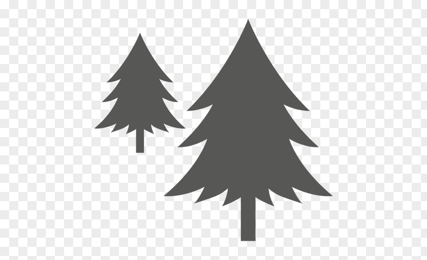 Fir-tree Pine Tree PNG