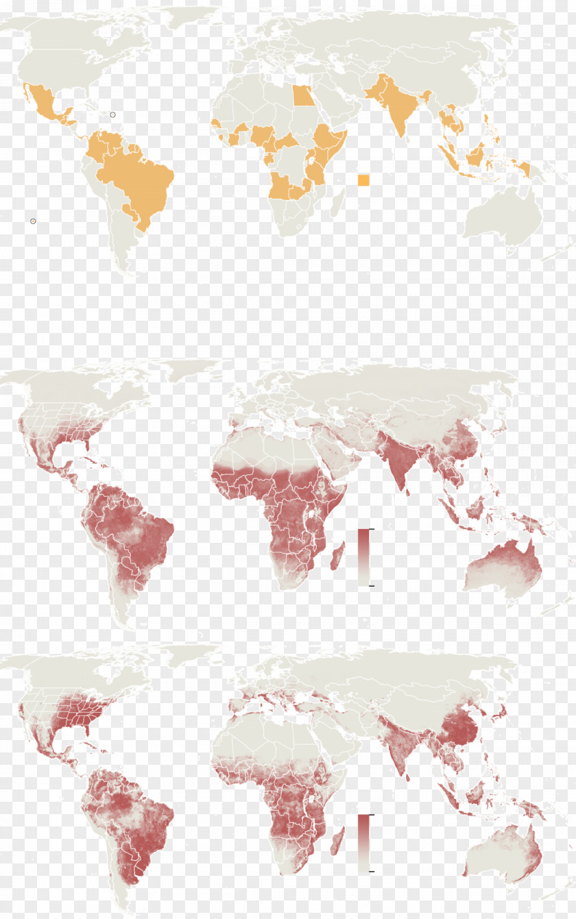 Map Cartography Zika Virus Geography Microcephaly PNG
