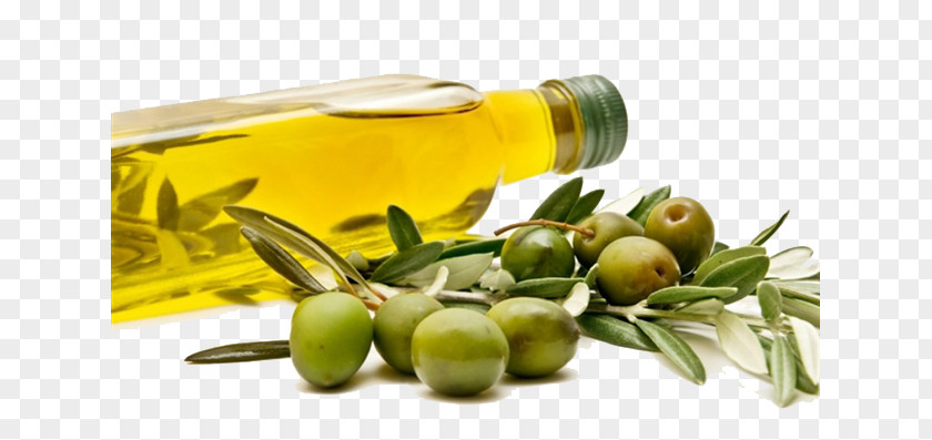 Olive Oil Bottle Food Eating Fat Lipid PNG
