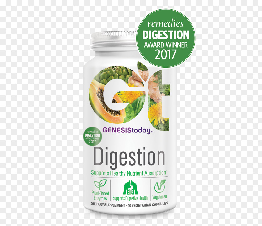 Digestion Prebiotic Gastrointestinal Tract Superfood PNG