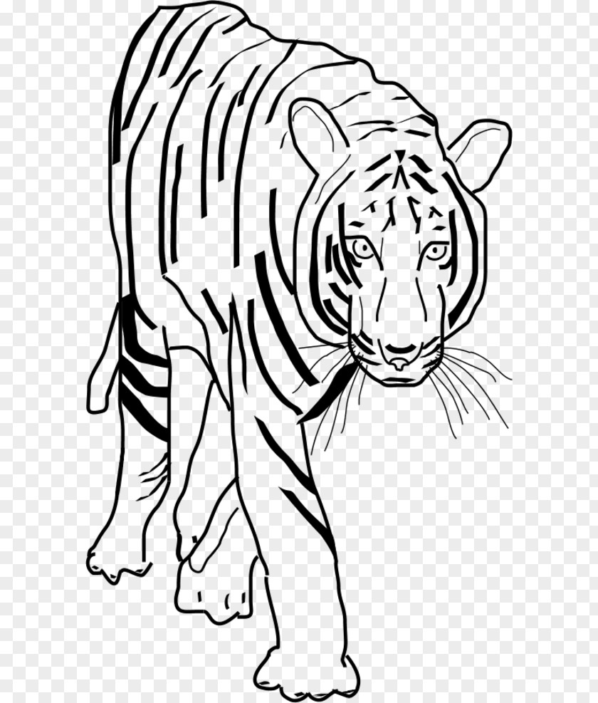 Tiger Stripes Clipart White Black Clip Art PNG