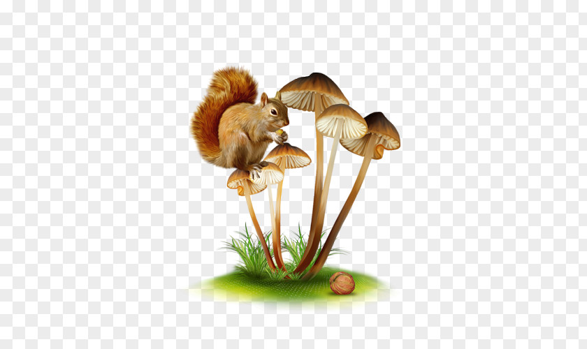 Mushroom Fungus Graphic Design Clip Art PNG