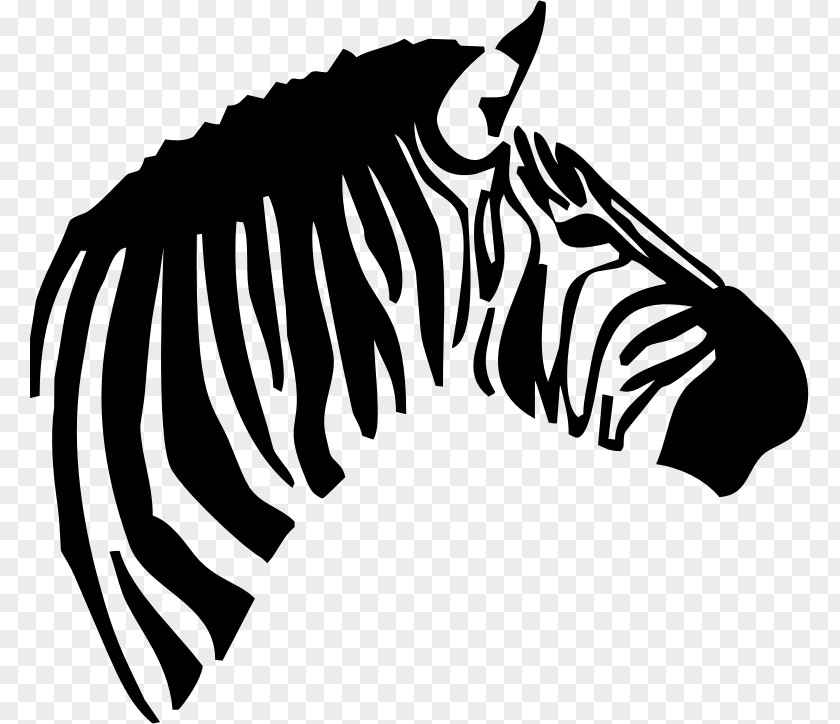 Zebra Clip Art PNG