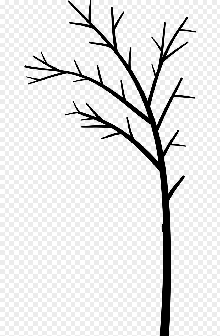 Clip Art Plant Stem Angle Leaf Flower PNG