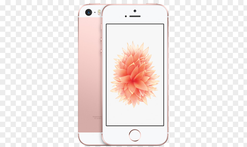 GOLD ROSE IPhone SE 5s Telephone PNG