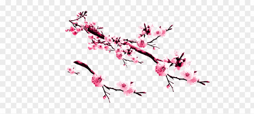 Plum Flower Peach Pink Cherry Blossom PNG