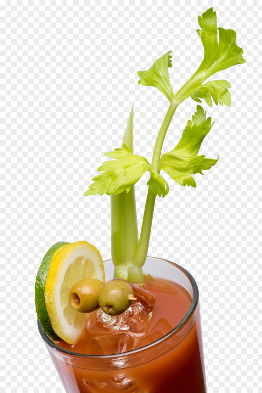 Tequila Bloody Mary Cocktail Garnish Mai Tai Rum And Coke PNG