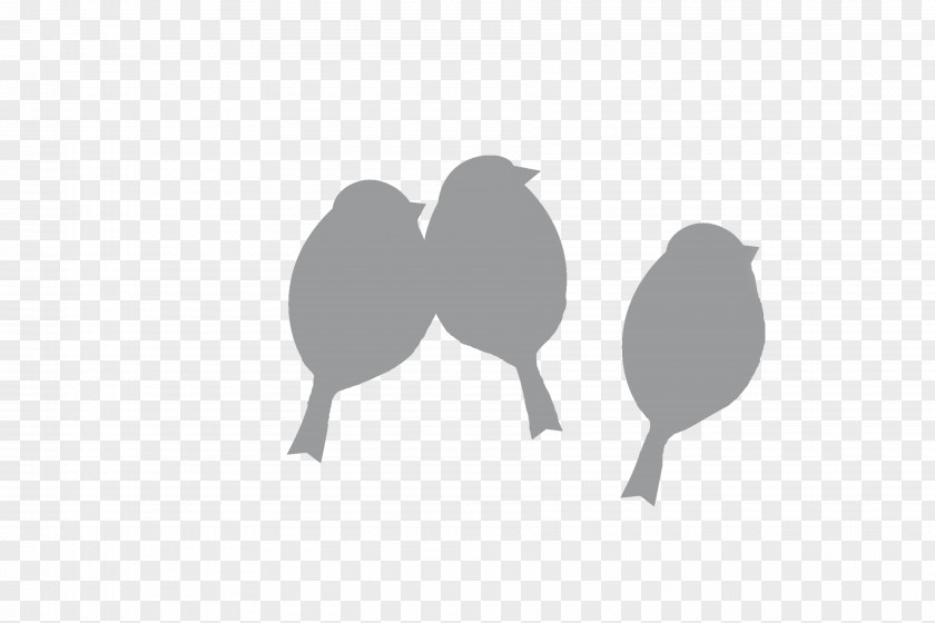 Bird Beak Logo Desktop Wallpaper Wing PNG