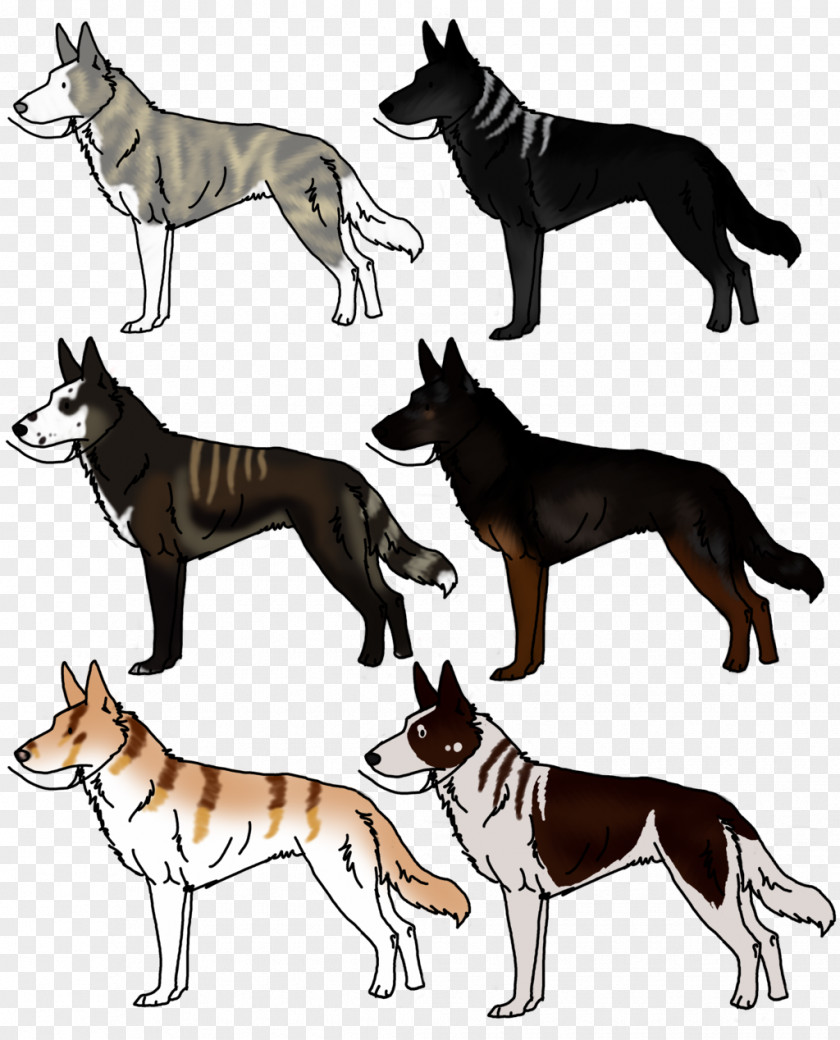 Dog Breed Tail Wildlife PNG