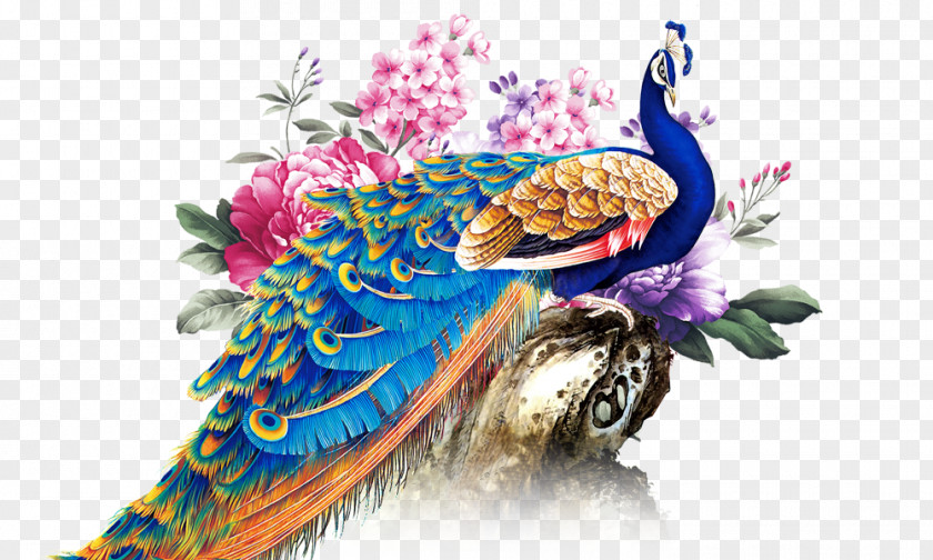 Painted Peacock Peafowl Rangoli Graphic Design PNG
