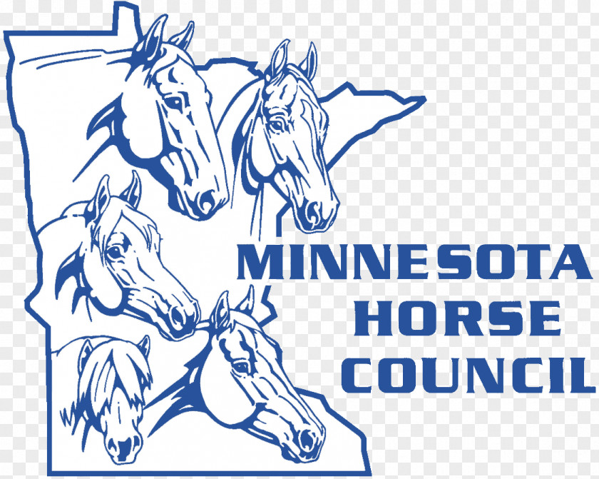 Quarter Horse American Paint Association Hackney Minnesota PNG