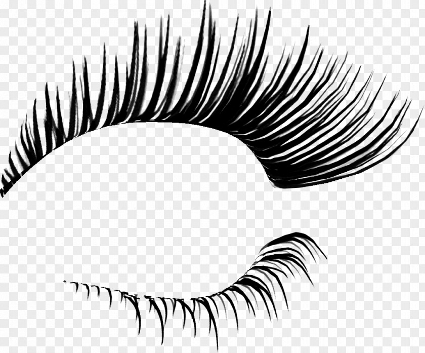 Digital Flyers Eyelash Extensions Cosmetics Clip Art PNG