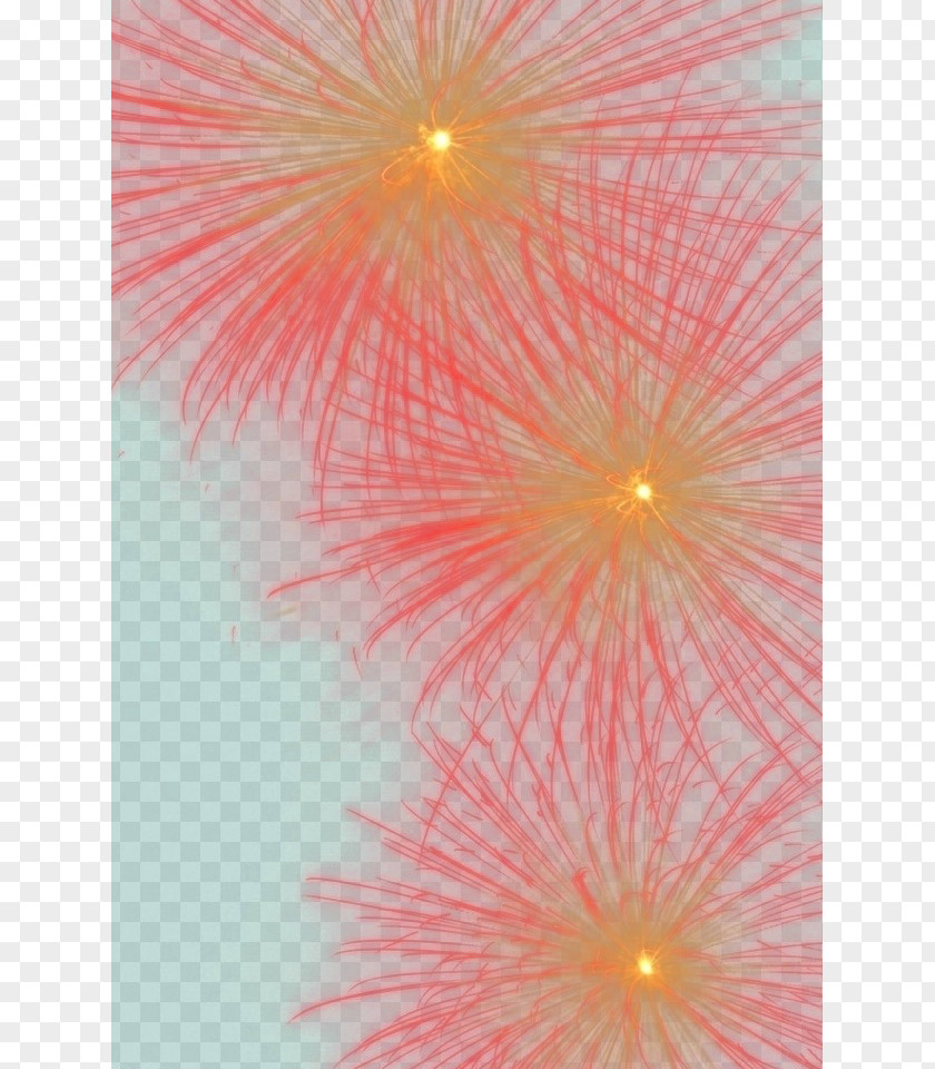 Fireworks Light Petal Close-up Symmetry Wallpaper PNG