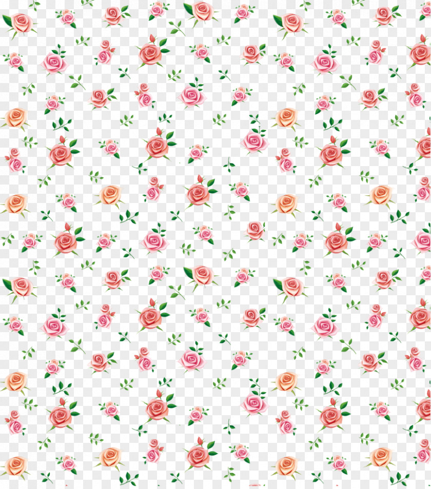 Rose Still Life: Pink Roses Beach Pattern PNG