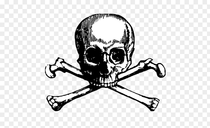 Skull And Bones Crossbones Tattoo Human Symbolism PNG