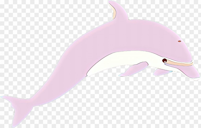 Tucuxi Common Bottlenose Dolphin Product Design Pink M PNG