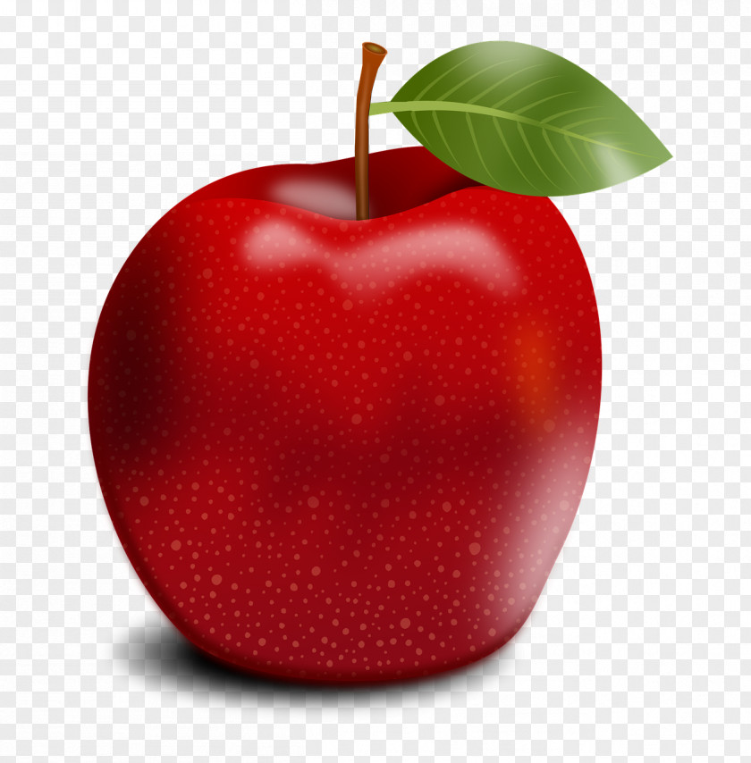 Apple Fruit Tree PNG