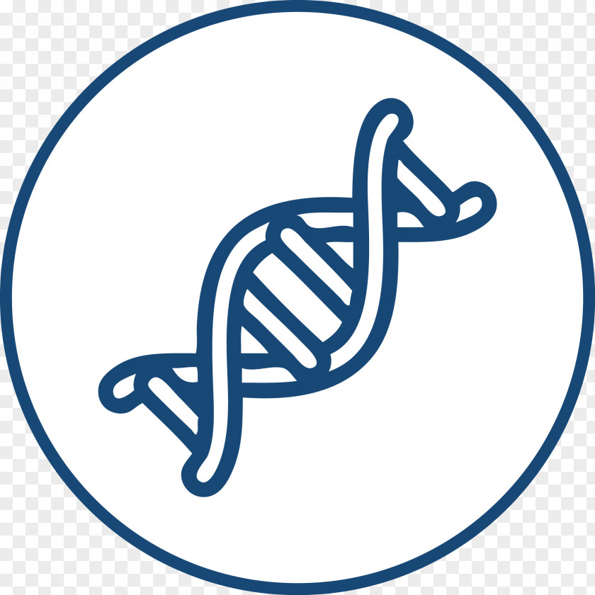 Congenial Nucleic Acid Double Helix DNA RNA Genetics PNG