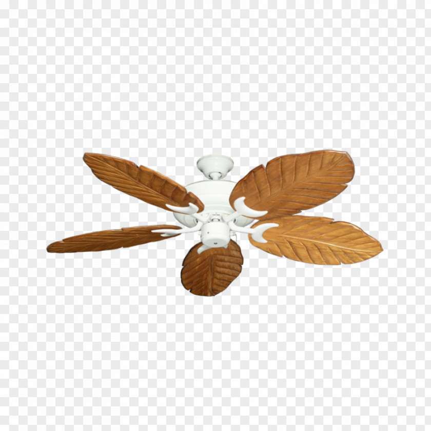 Light Lighting Ceiling Fans PNG