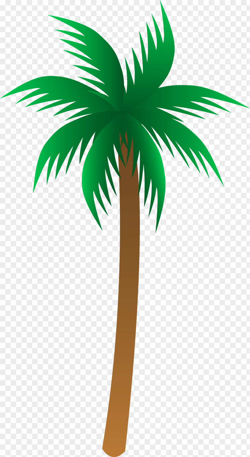Palm Tree Arecaceae Euclidean Vector Clip Art PNG