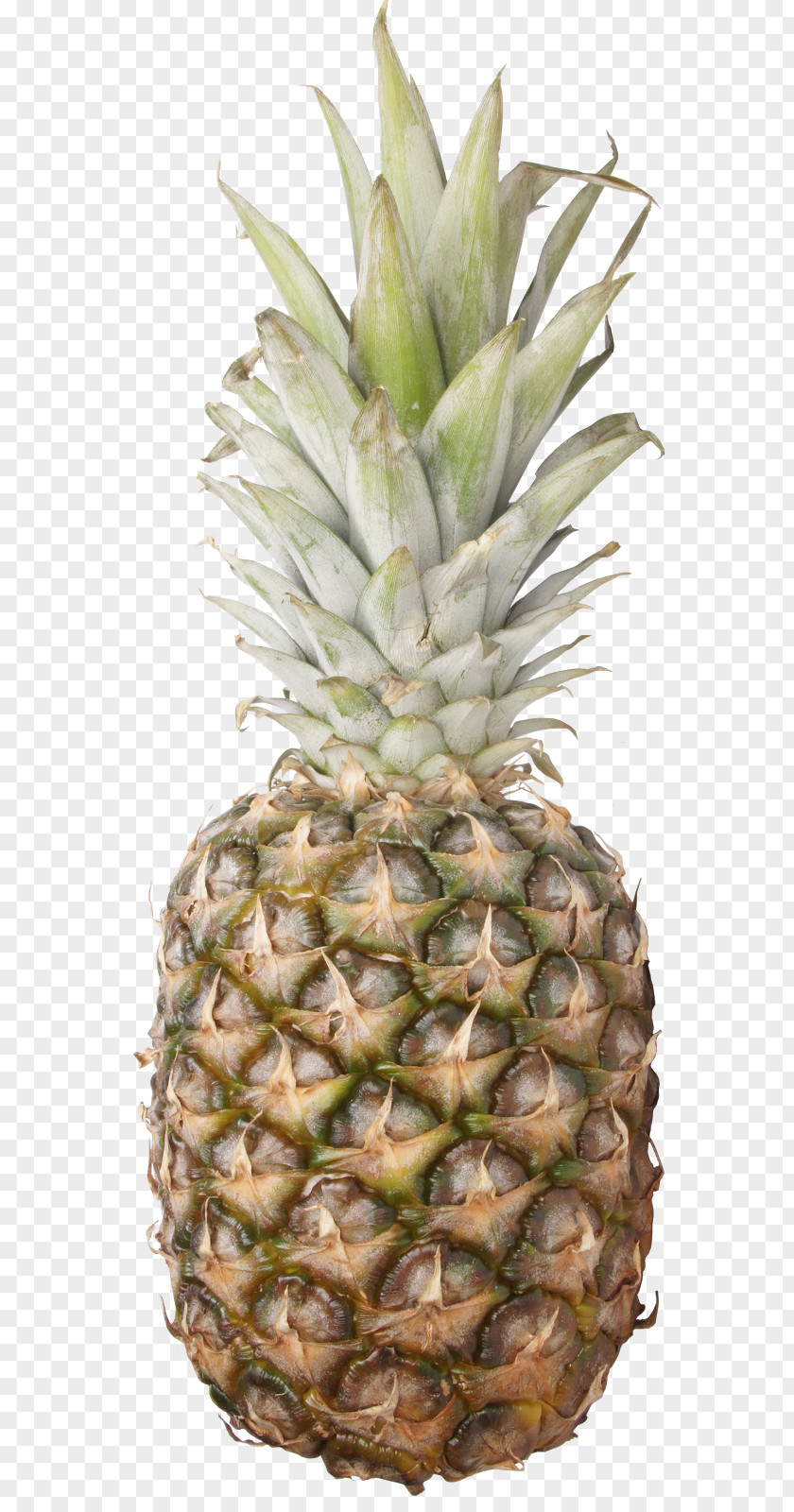 Pineapple Fruit July PNG