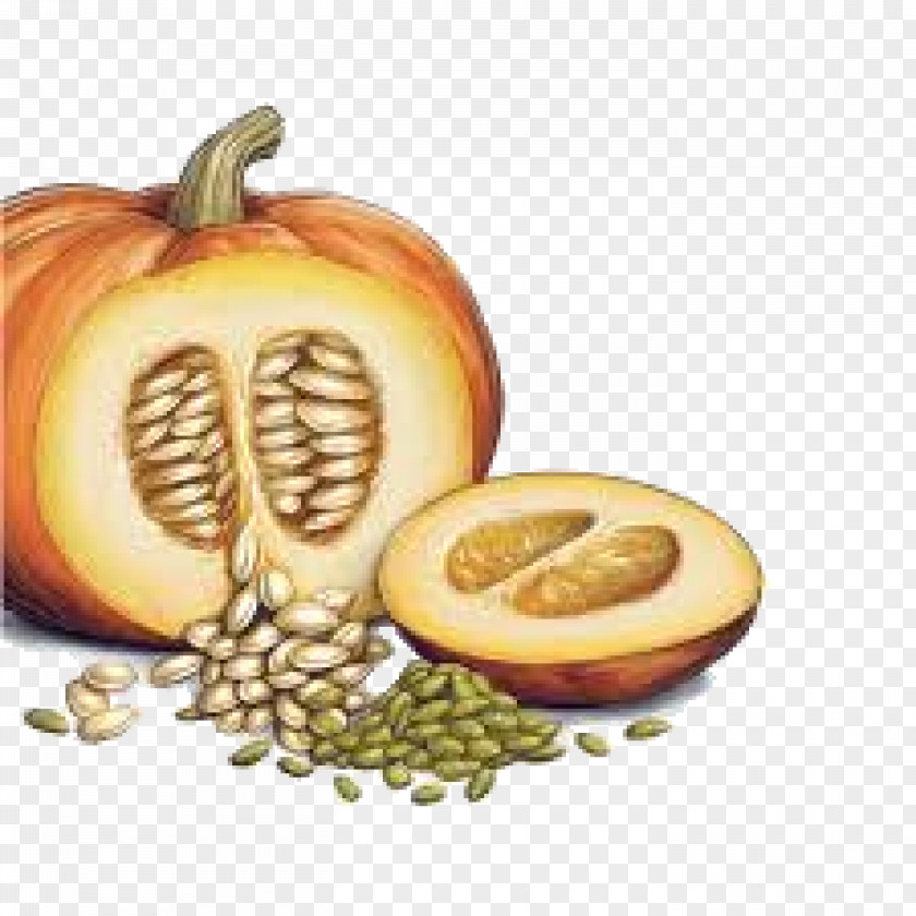 Pumpkin Bread Squash Soup Pie Seed PNG