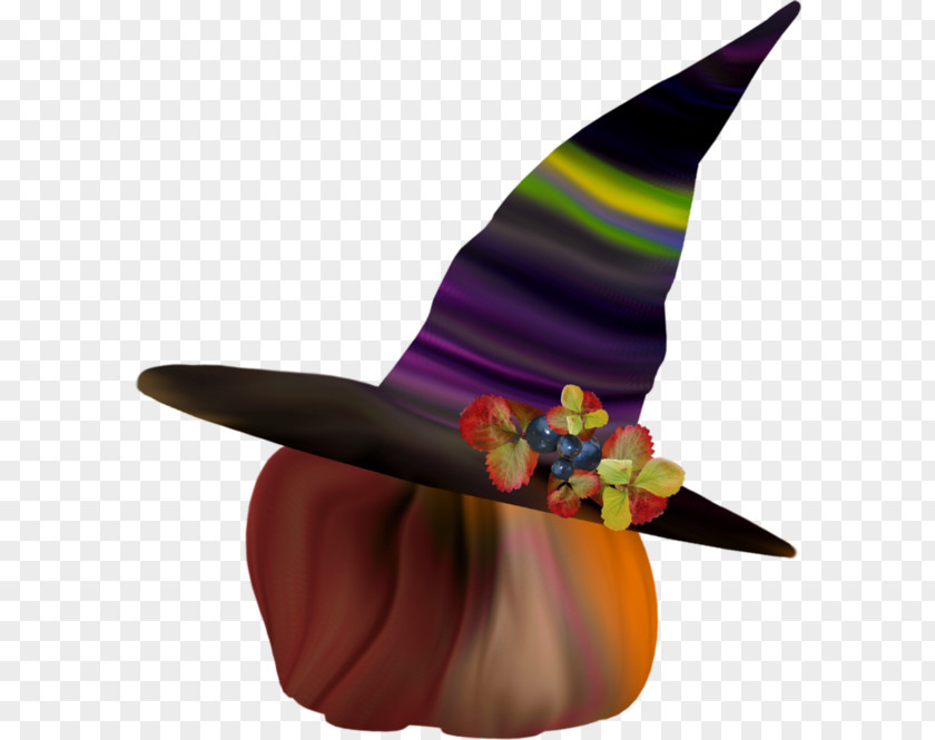 Pumpkin Witch Hat Flowers PNG