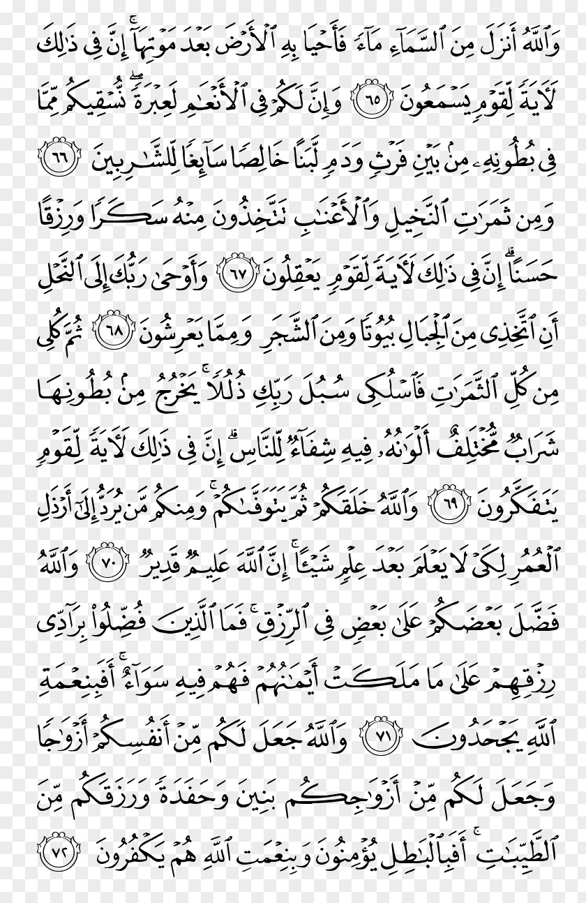 Quran Kareem Qur'an Juz' Ayah Al-Baqara Surah PNG