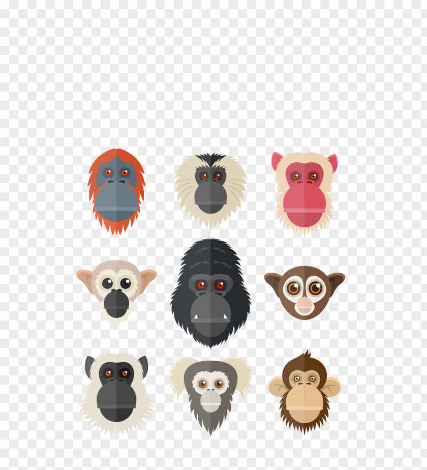 Vector Color Monkey Face Nine Cartoon Gorilla Orangutan Primate Chimpanzee PNG